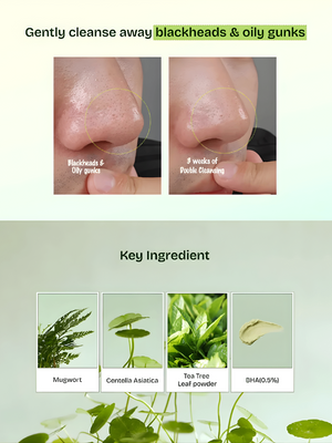 Orien Mugwort Zero Film Cleansing Foam