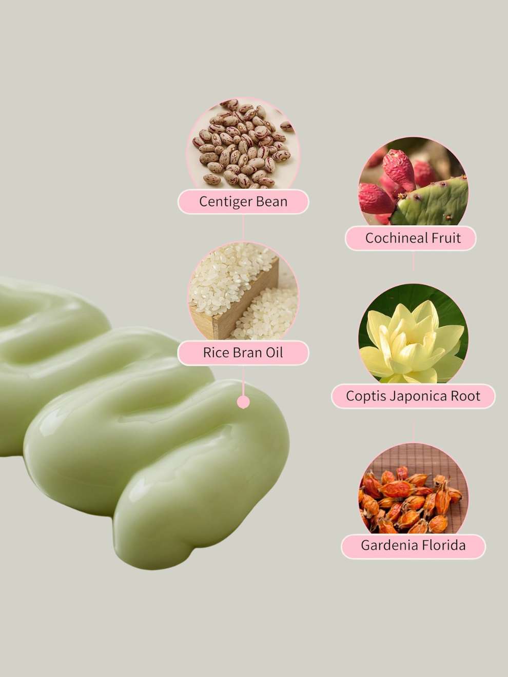 Beauty of Joseon JELLOSKIN Massage Cream for face & body